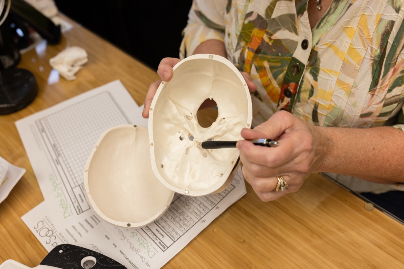 Kathleen using an anatomical skull model to explain cranial structure